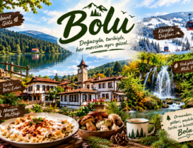 Bolu Baskı Merkezi | Bolu Matbaa, Dijital Baskı ve Reklam Çözümleri